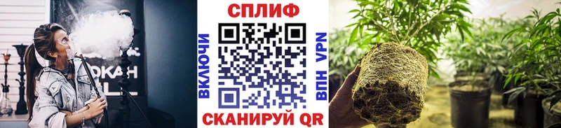 Канабис White Widow  ссылка на мегу   Вилючинск 